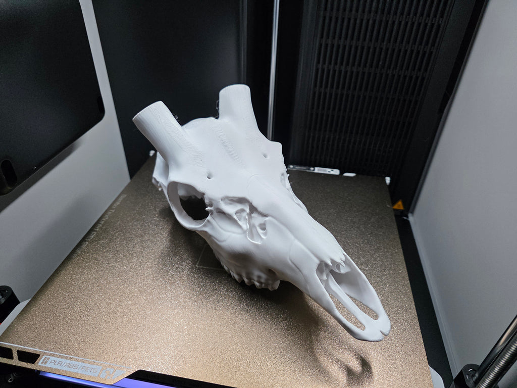 Axis Euro Mount