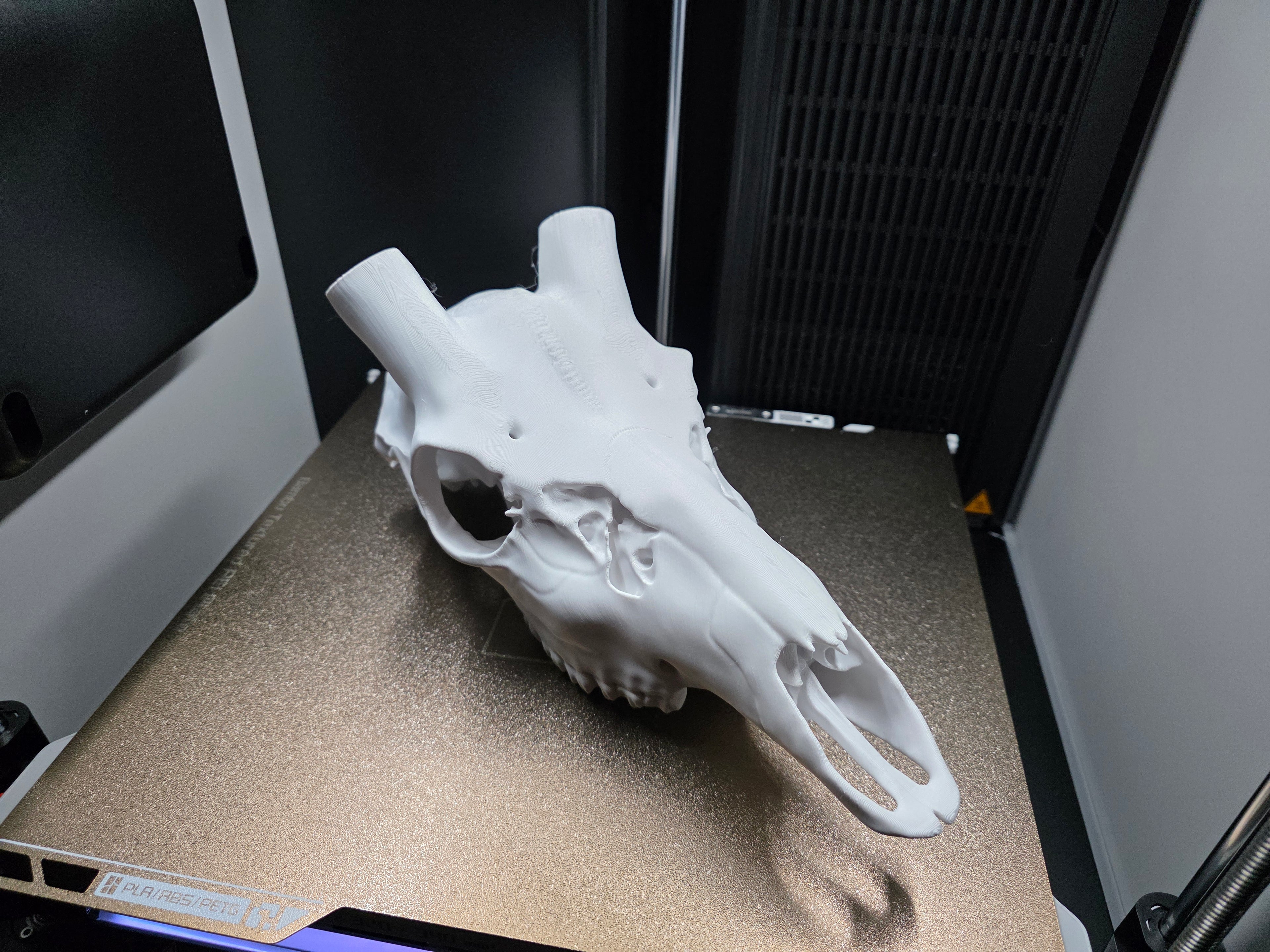 Axis Euro Mount