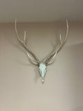 Axis Euro Mount