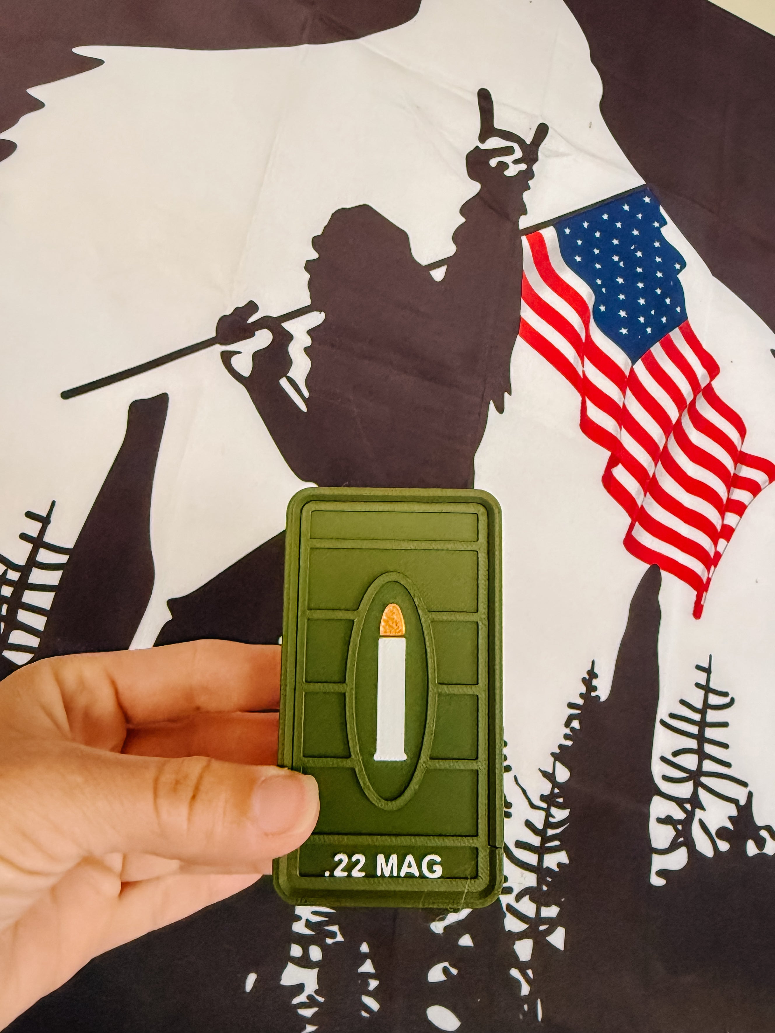 22 Mag Ammo Box