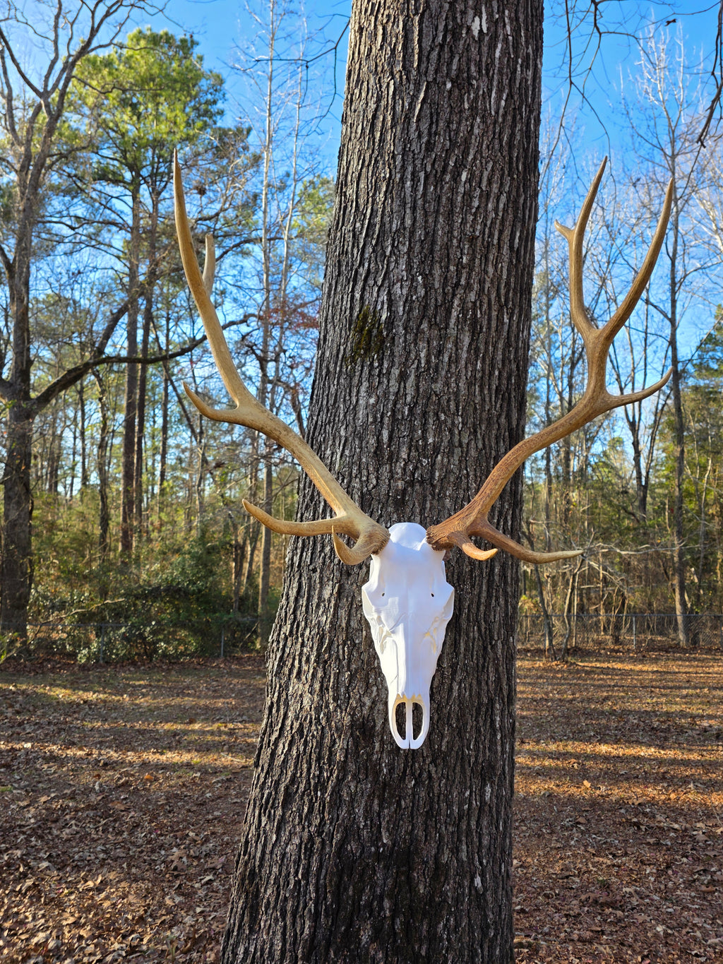 Elk Euro Mount