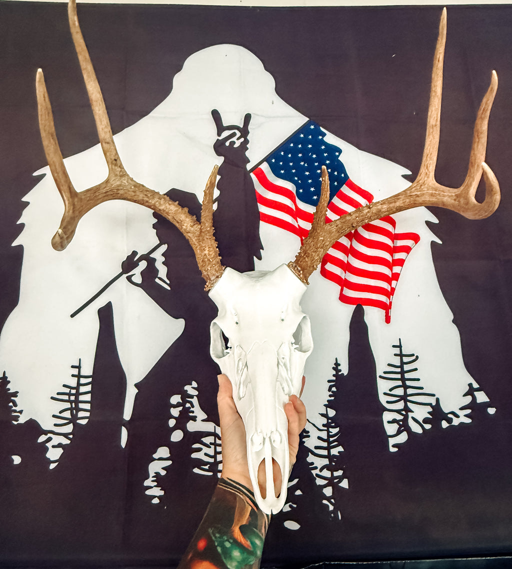 Whitetail Buck Euro Mount