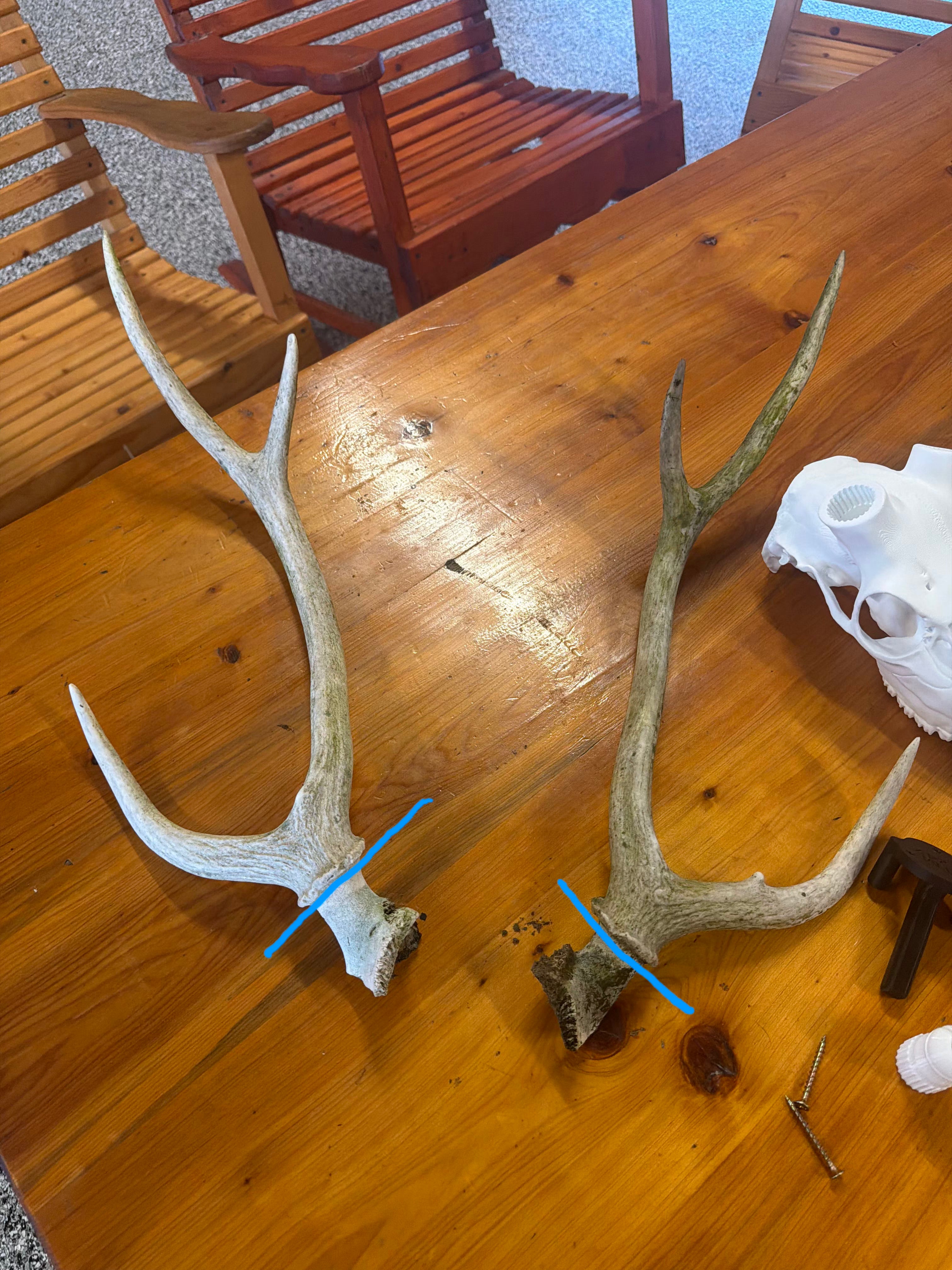 Axis Euro Mount